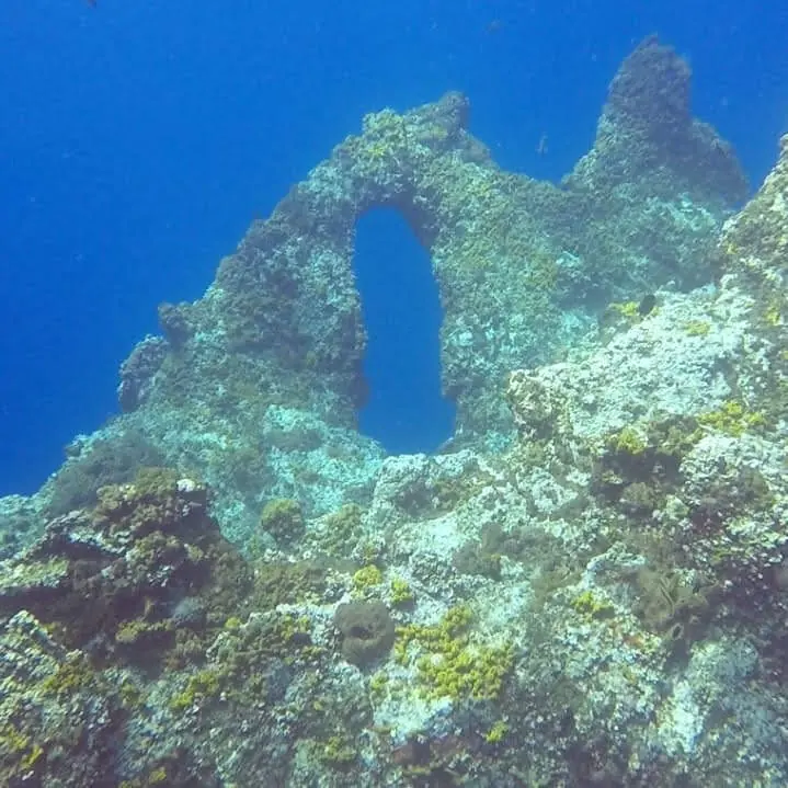 Stone arch covered in coral on a reef