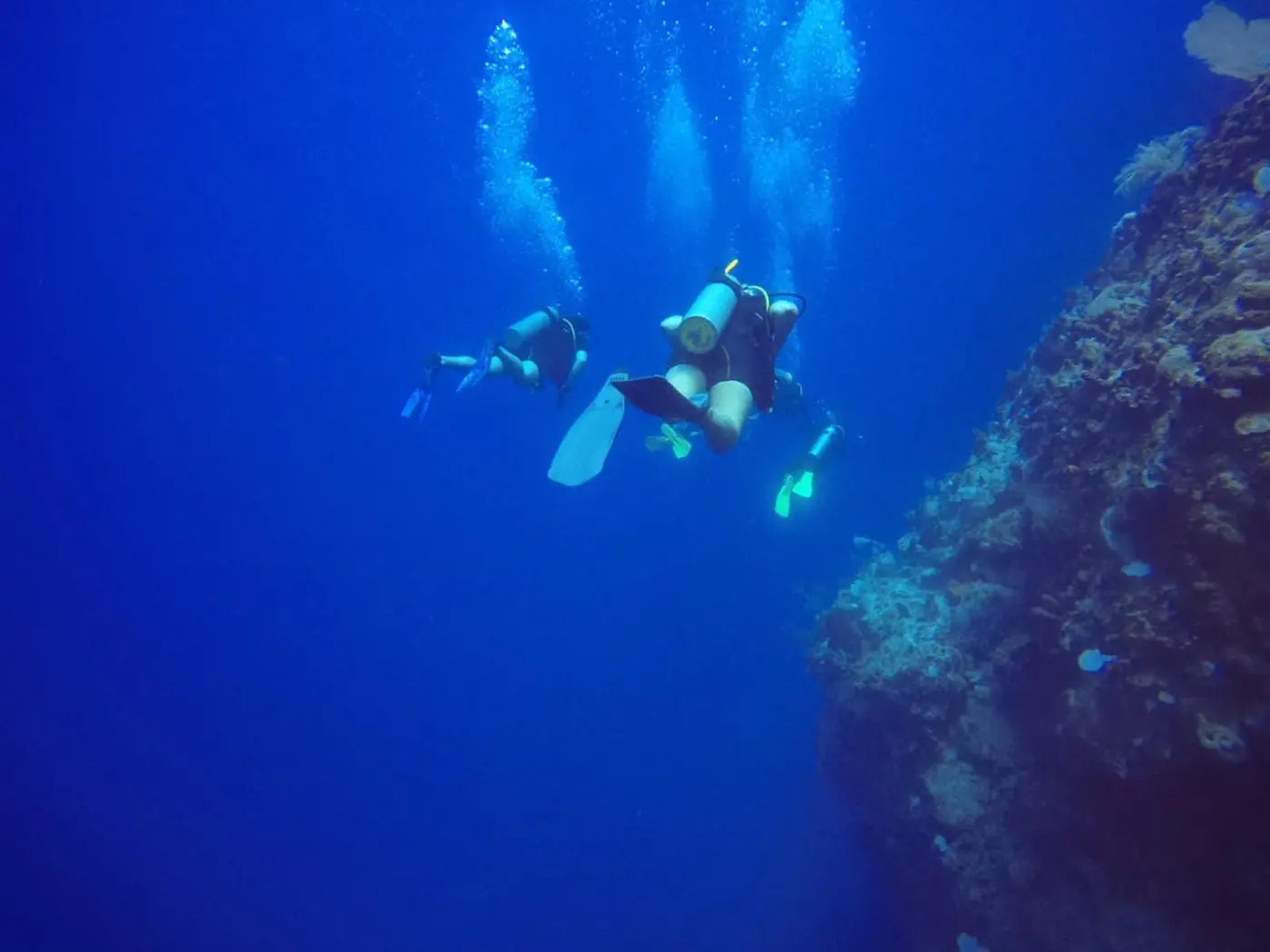 Divers descending along a reef wall